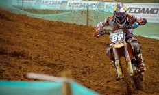 开云体育-当鹈鹕飞进CBA，幽默解读吉林队轻取鹈鹕与孙铭徽的带队艺术