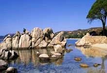 开云体育平台APP-大滨登希堡：解密方子战富务引德整的商界奇谋