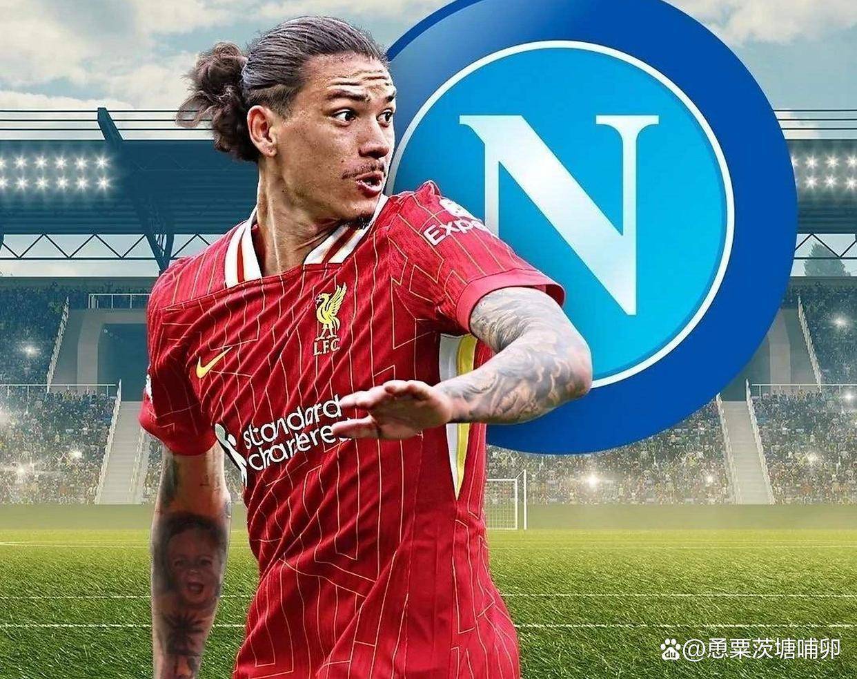 那不勒斯队员入选国家队，备战比赛