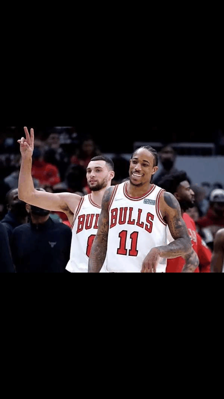 黄蜂擒公牛获得胜利 黄蜂擒公牛获得胜利