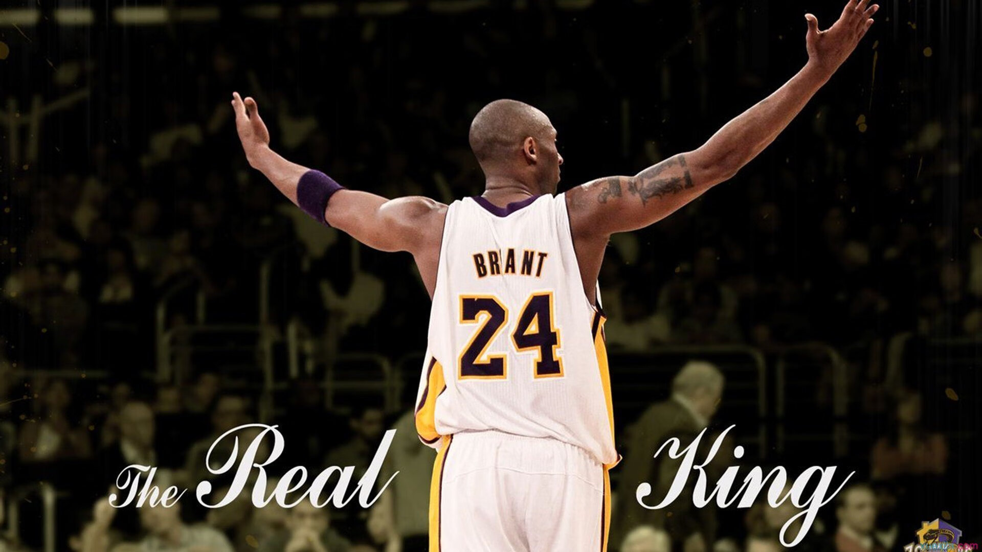 爵士铁壁破辽军，莫兰特跨界验真金